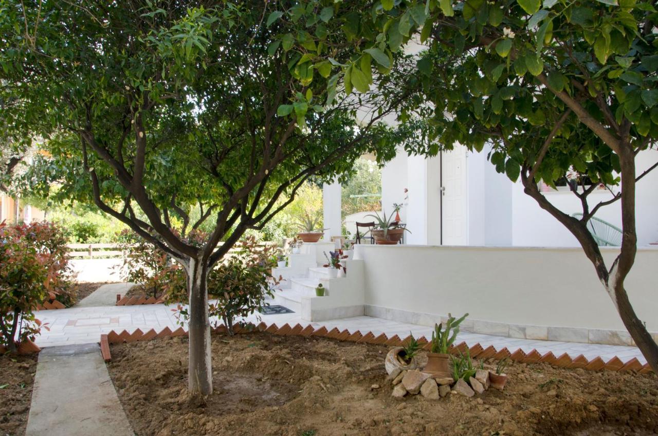 Garden House Palaio Faliro 雅典 外观 照片
