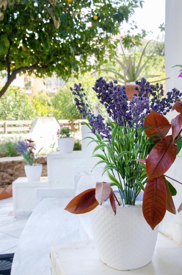 Garden House Palaio Faliro 雅典 外观 照片